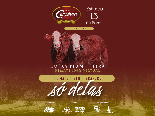 Remate Só Delas