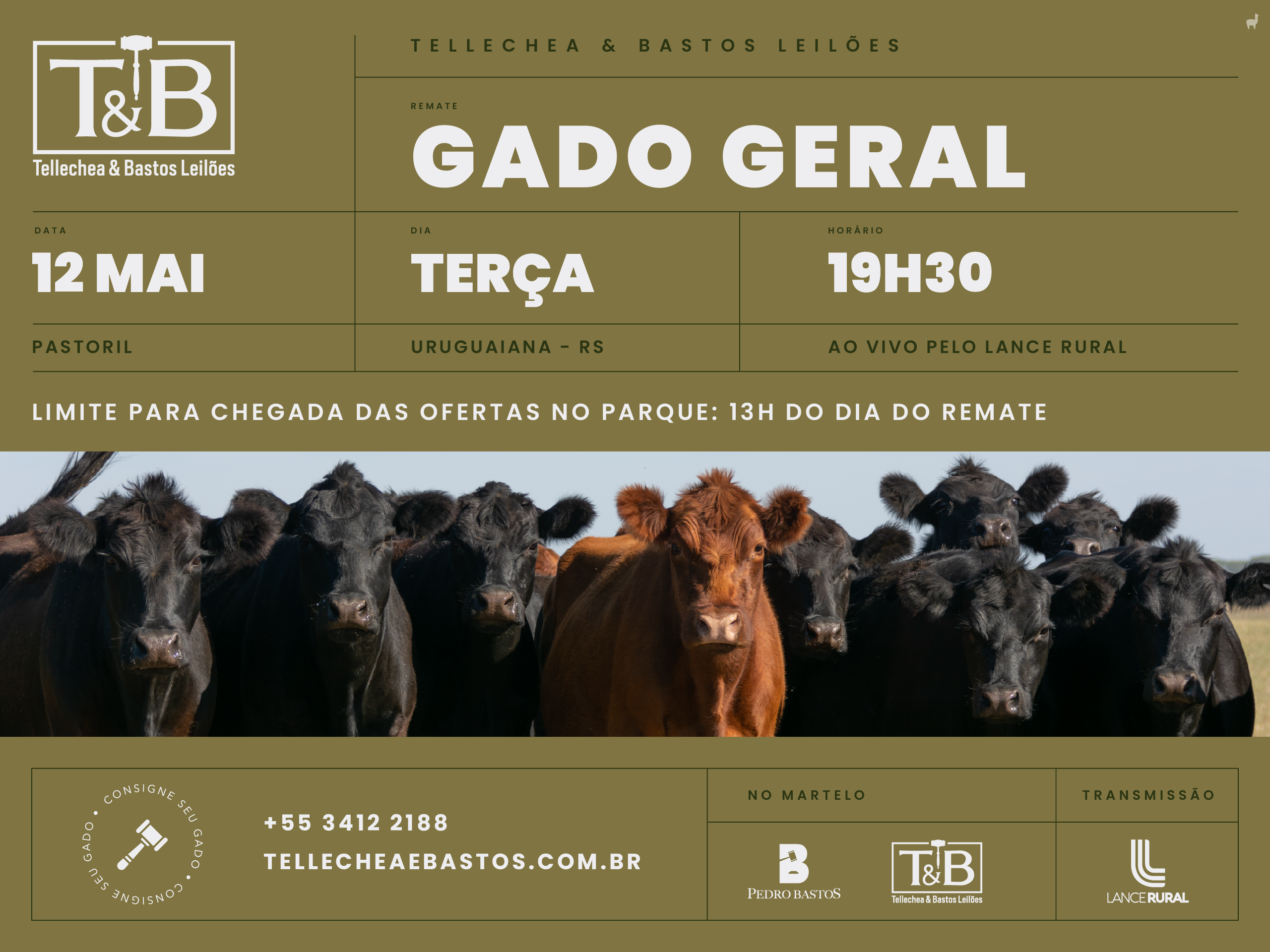 Remate Gado Geral TB