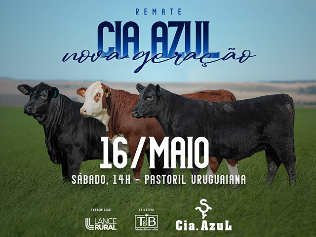Remate Cia Azul Nova Geração