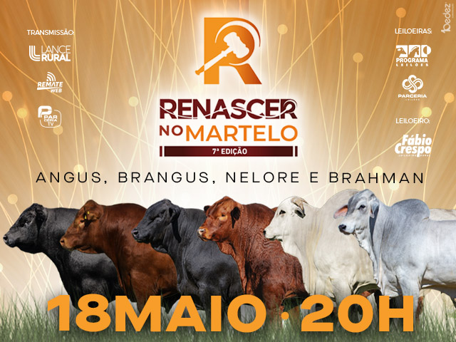 Renascer no Martelo 7º Edição