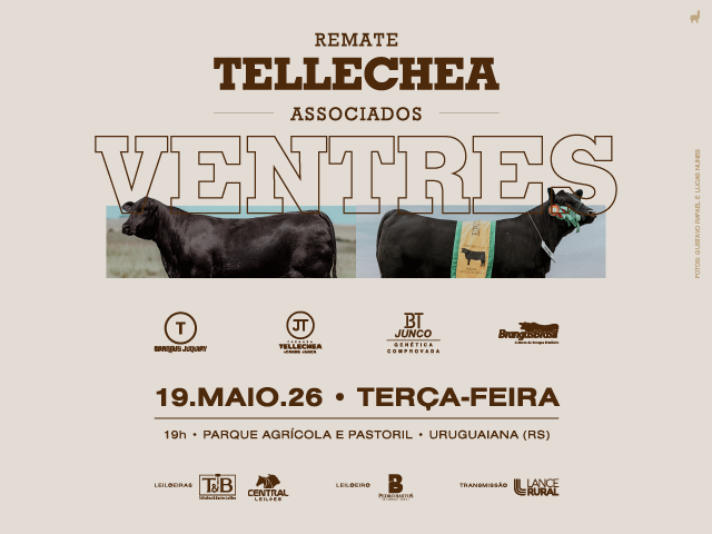 Remate Tellechea e Associados