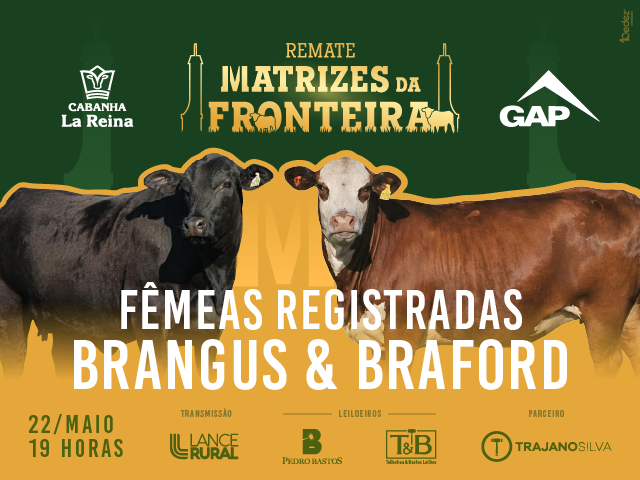 Remate Matrizes da Fronteira