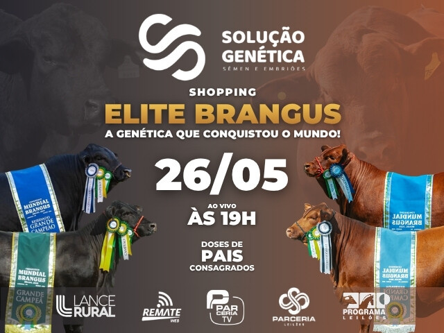 Shopping Elite Brangus