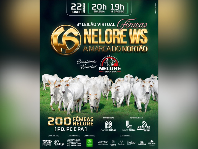 3° Leilão Virtual Fêmeas Nelore WS