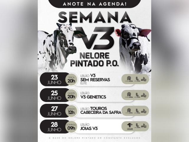 Leilão Virtual V3 Sem Reservas Elite