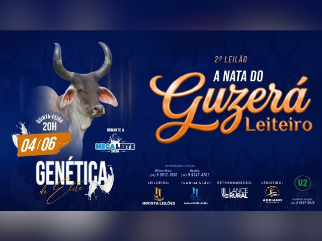 2º Leilão A Nata do Guzerá Leiteiro