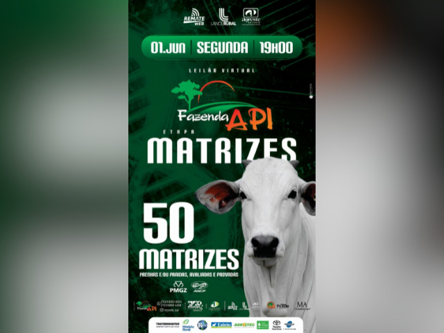 Leilão Virtual Fazenda API – Etapa Matrizes