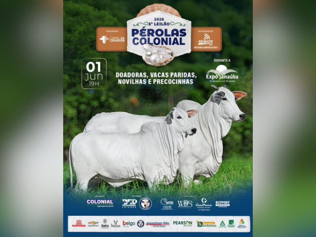 5º Leilão Pérolas Colonial 2026