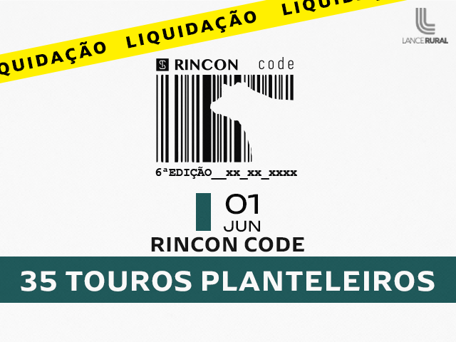 Rincon Code – 6ª Edição
