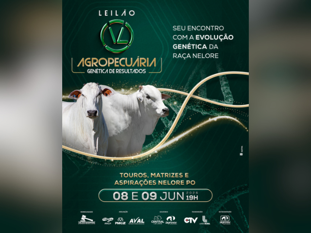 Leilão VL Agropecuária