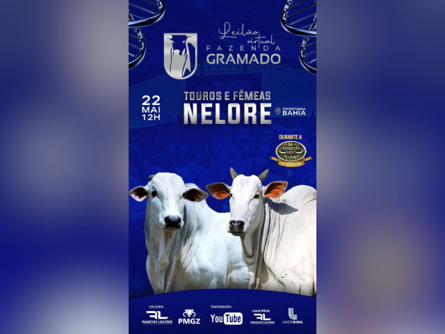 Leilão Virtual Fazenda Gramado