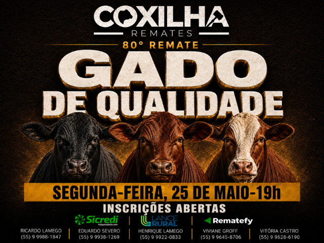 80º Gado de Qualidade