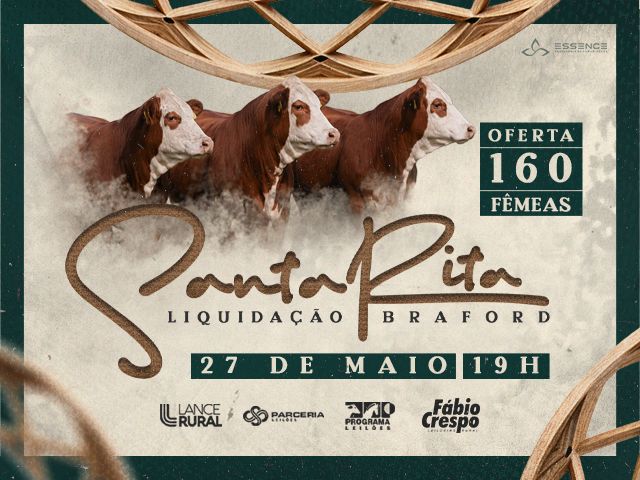 Leilão Braford Santa Rita