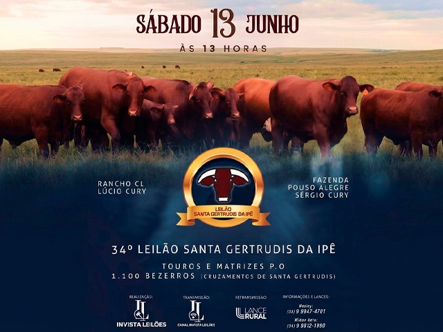 34° Leilão Anual Santa Gertrudis da Ipê