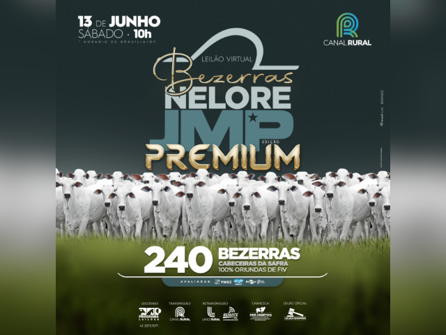 Leilão Bezerras Nelore JMP – Edição Premium
