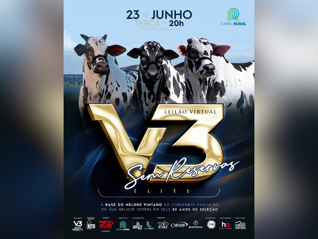 Leilão Virtual V3 Sem Reservas Elite