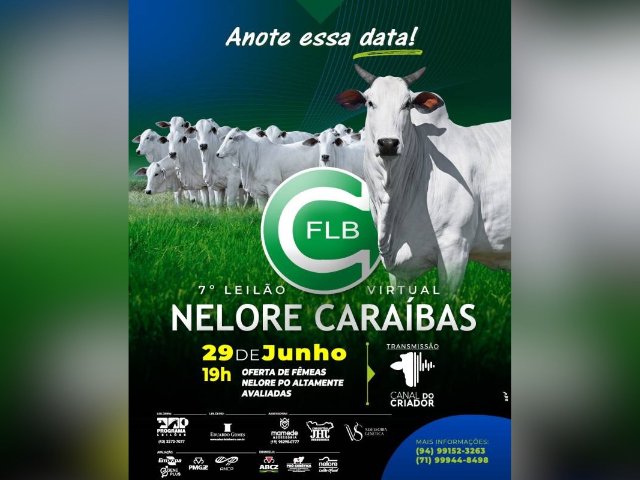 7° Leilão Virtual Nelore Caraíbas