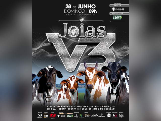 Leilão Joias V3