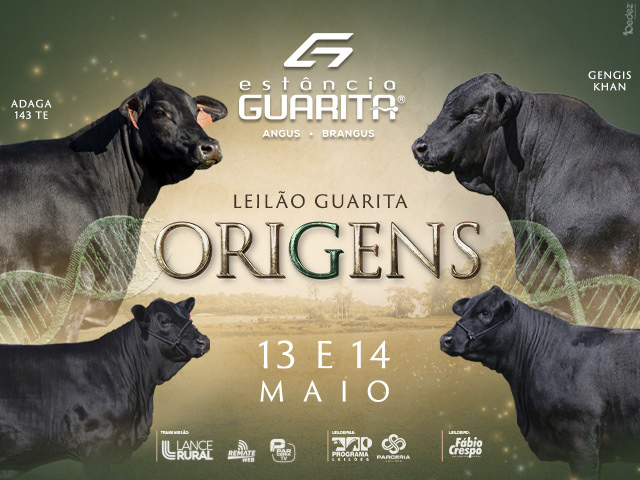 Leilão Guarita Origens