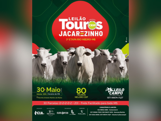 Leilão Touros Jacarezinho – 3º Etapa