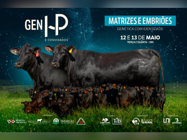 Leilão Gen HP & Convidados