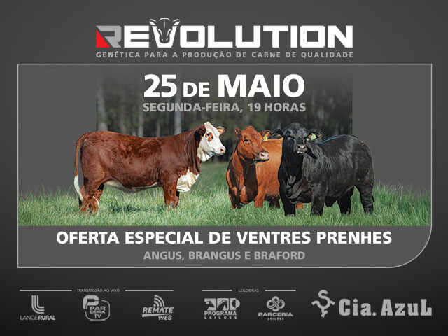 Leilão Revolution