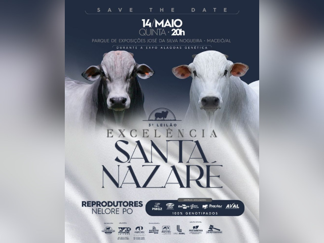 3º Leilão Excelência Santa Nazaré