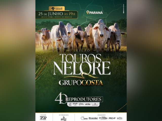 Leilão Touros Nelore Grupo Costa