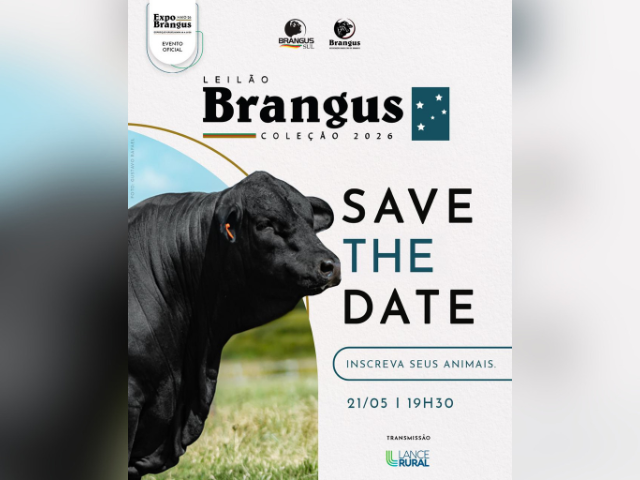 Leilão Brangus – Coleção 2026