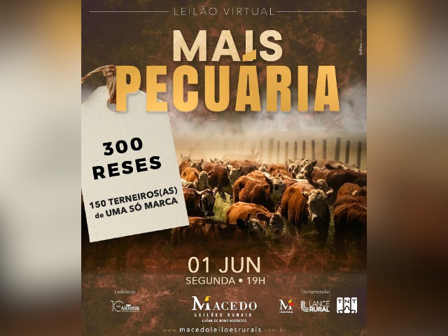 Leilão Virtual Mais Pecuária