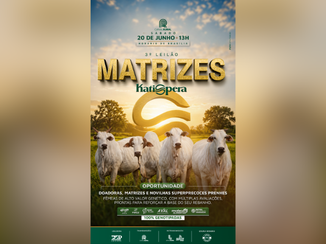 3º Leilão Matrizes Katispera