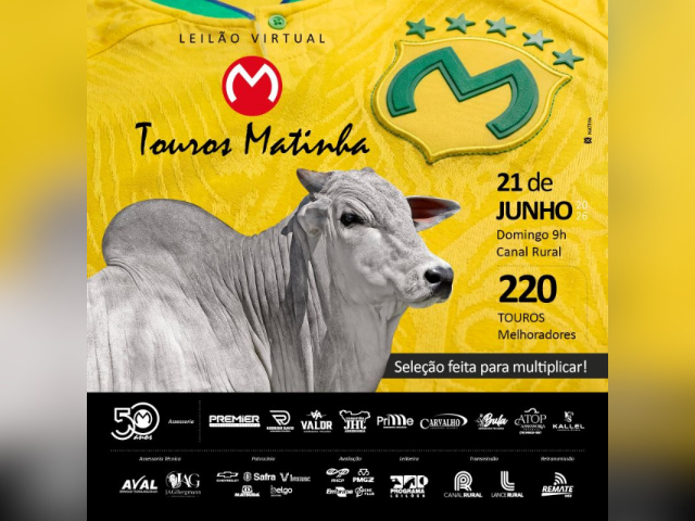 Leilão Virtual Touros Matinha