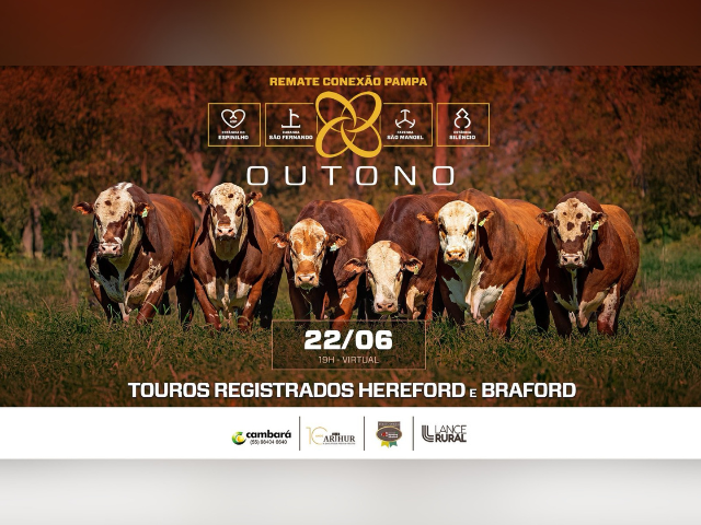 Remate Conexão Pampa – Outono – Touros Hereford e Braford