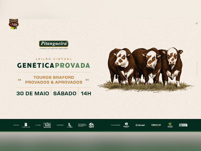 Leilão Virtual Genética Provada