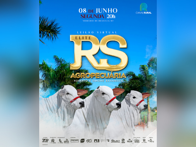 Leilão Virtual Elite RS Agropecuária