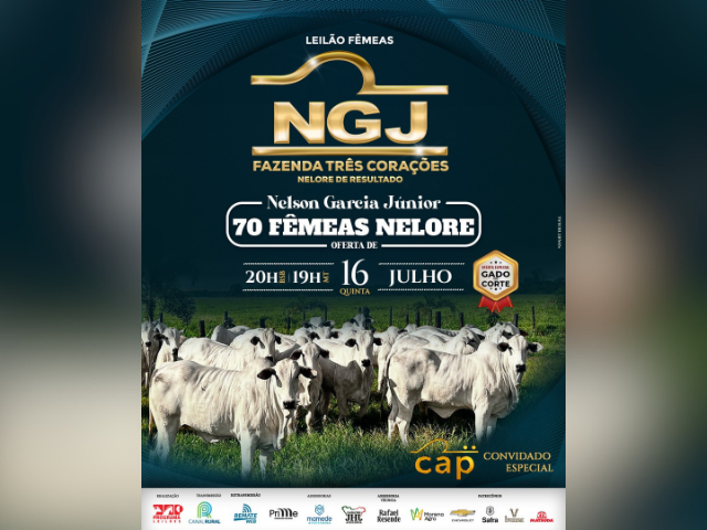 Leilão Fêmeas NGJ – Fazenda Três Corações