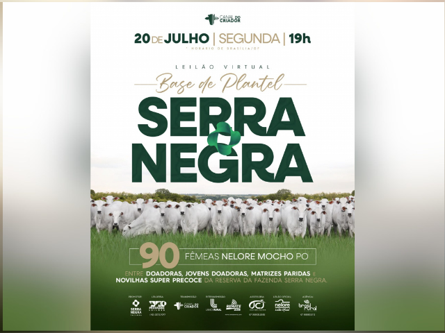 Leilão Virtual Base De Plantel Serra Negra  – Etapa Fêmeas