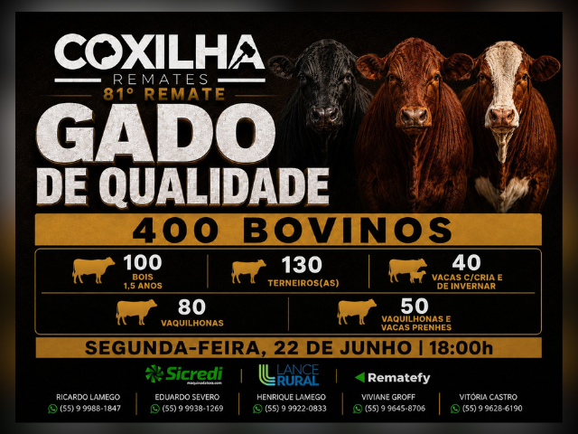 81º Remate Gado de Qualidade