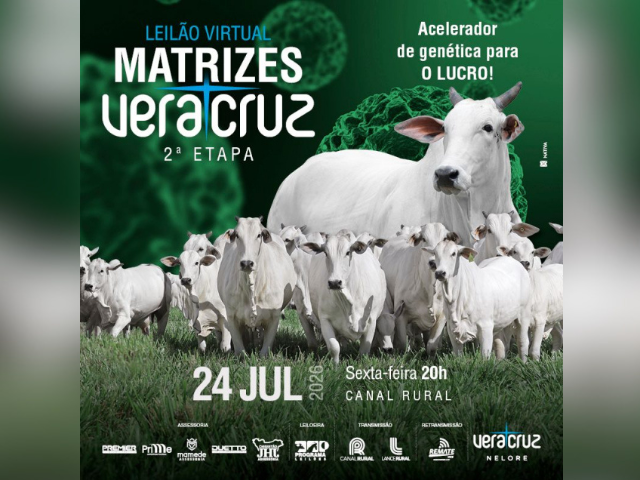 Leilão Virtual Matrizes Vera Cruz  – 2º Etapa