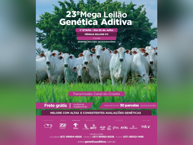 23° Mega Leilão Genética Aditiva – 1ª Etapa Fêmeas Nelore PO