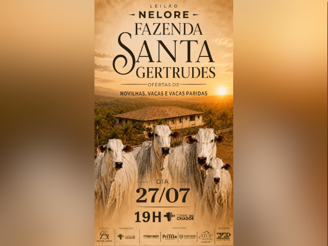 Leilão Nelore Fazenda Santa Gertrudes