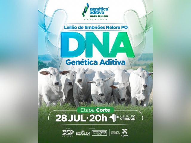 Leilão De Embriões Nelore Po Dna Genética Aditiva