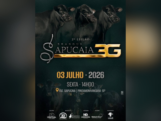 2º Leilão Brangus Sapucaia 3G