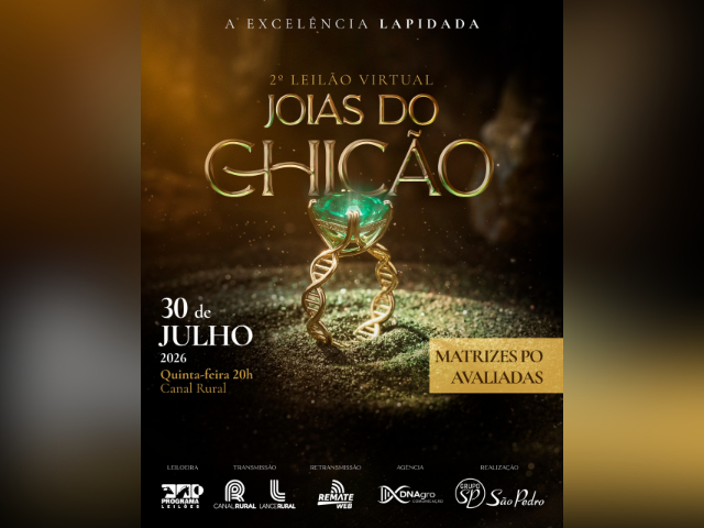 2° Leilão Virtual Joias do Chicão – Matrizes PO