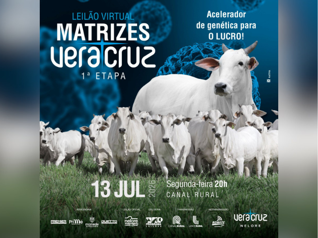 Leilão Virtual Matrizes Vera Cruz – 1ª Etapa