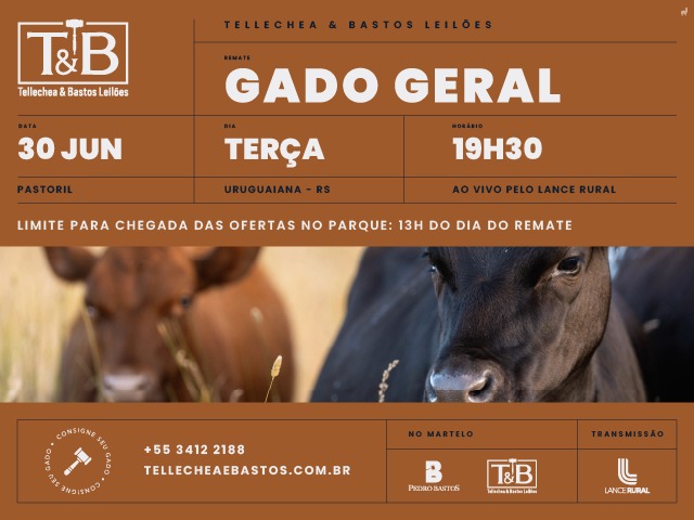 Remate Gado Geral TB