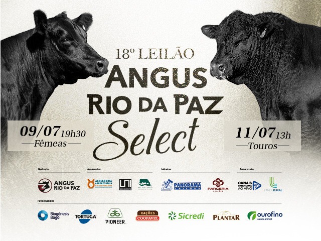 18º Leilão Angus Rio da Paz Select – Touros
