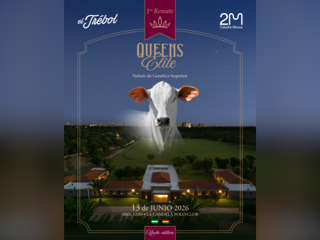 1º Remate Queens Elite