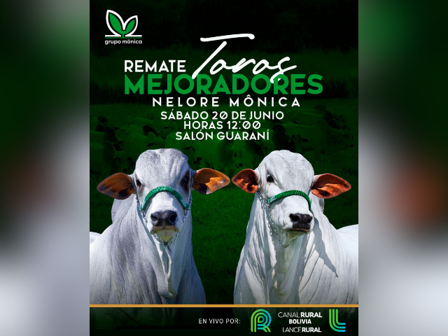 Remate Toros Mejoradores