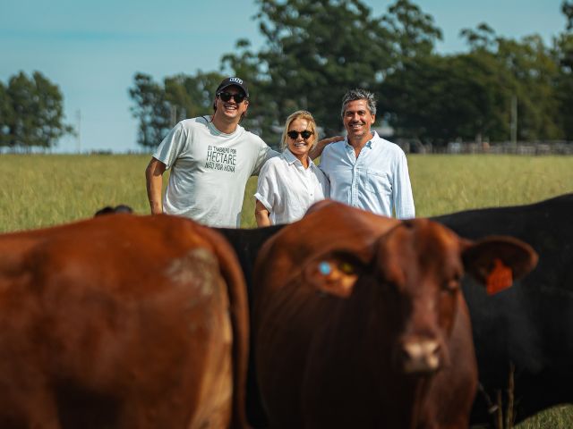 Imagem de destaque do post: Rincon del Sarandy fecha venda de bovinos com R$ 21,85 milhões e confirma maior remate de genética europeia do Brasil